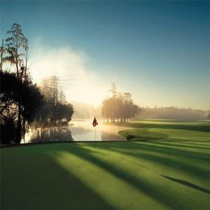 Golf Course photo
