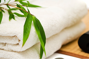 Spa Services photo