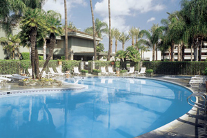Swimming Pools photo