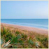 Palmetto Dunes photo